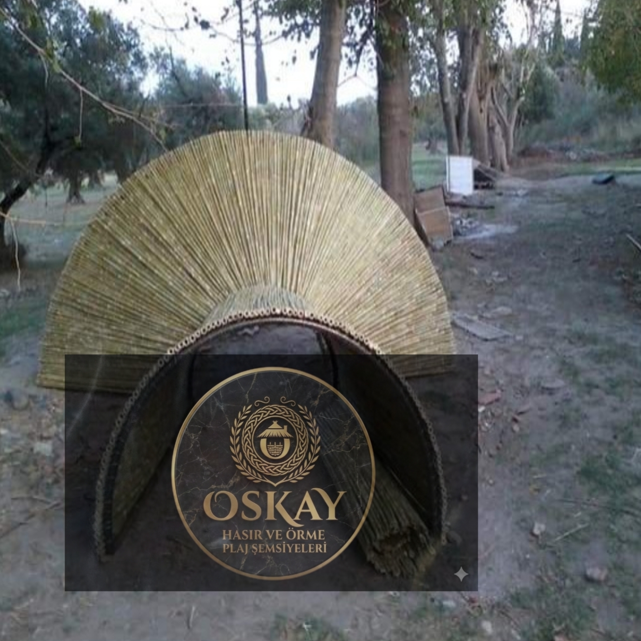Bambu Hasır 31